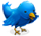 Free Whitewater on Twitter